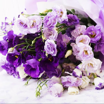 Photo de Maryse JOBIN